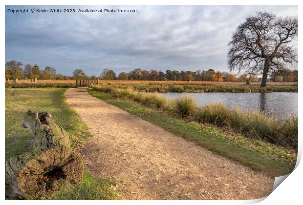 Cycle and walking path around ponds at Bushy Park Print by Kevin White