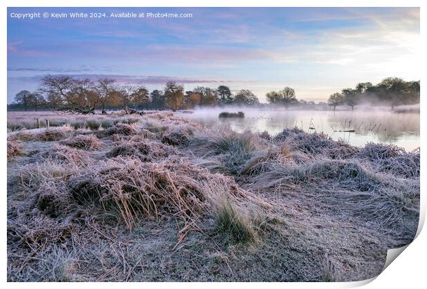 Frosty January morning at Bushy Park Print by Kevin White