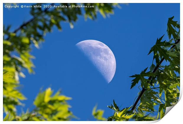 daylight half moon Print by Kevin White