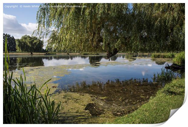 Ponds at Bushy Park Print by Kevin White