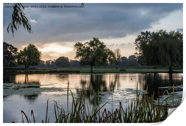 Early morning view at Bushy Park Print by Kevin White