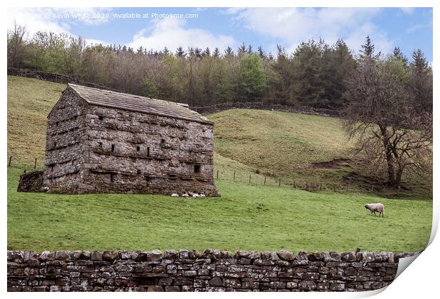 Yorkshire Dales farm building Print by Kevin White