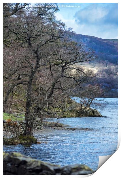 Trees on edge of Ullswater Print by Kevin White