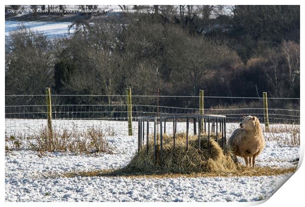 This hay is mine Print by Kevin White