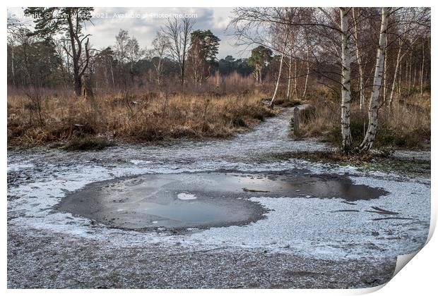 Frozen path at ockham common Print by Kevin White