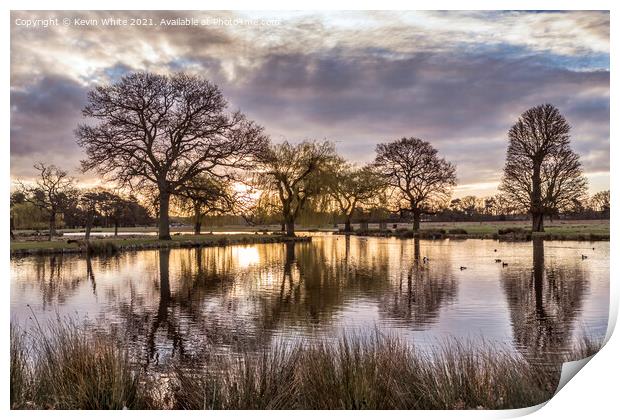 Bushy Park at sunrise in March Print by Kevin White