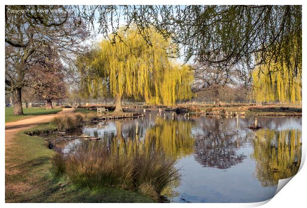 springtime at Bushy Park Print by Kevin White