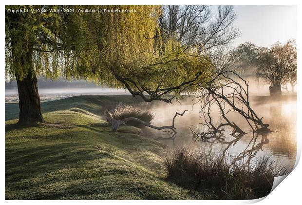Willow tree over misty pond Print by Kevin White