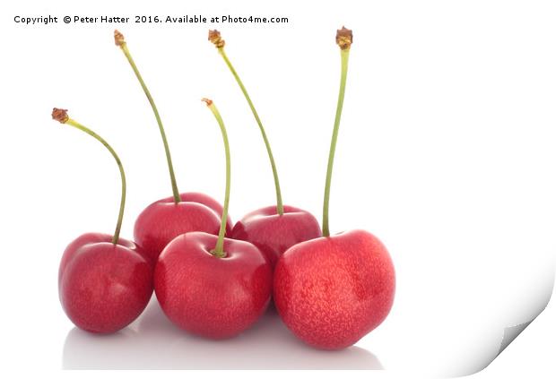 Red cherries Print by Peter Hatter