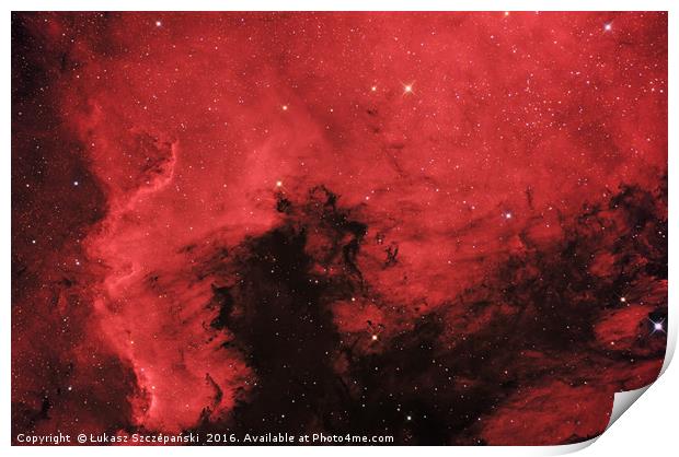 The North America Nebula in Cygnus constellation Print by Łukasz Szczepański