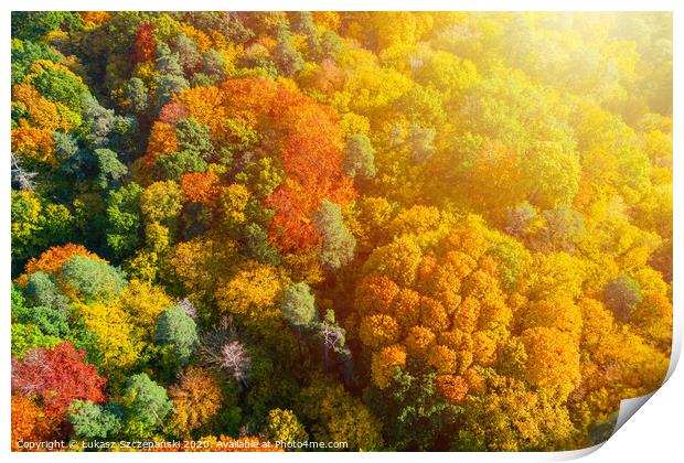 Aerial view of color autumn forest and sunset Print by Łukasz Szczepański