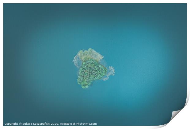 Aerial top down view of small island on the lake Print by Łukasz Szczepański