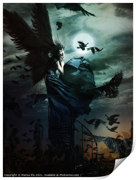 Raven Queen Print by Marius Els