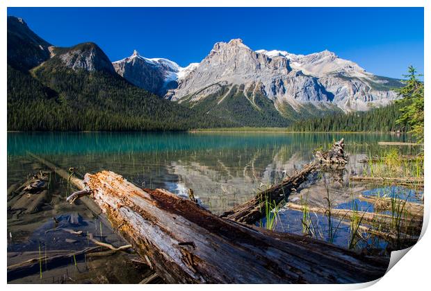 Logs on the lake Print by Kevin Livingstone