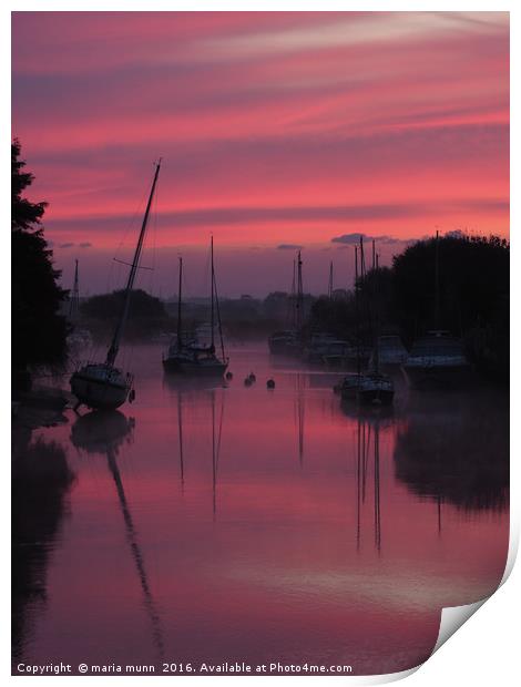 Sunrise on the River Frome at Wareham, Dorset Print by maria munn