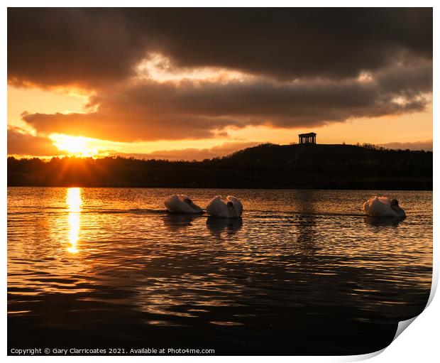 Swans at Sunset Print by Gary Clarricoates