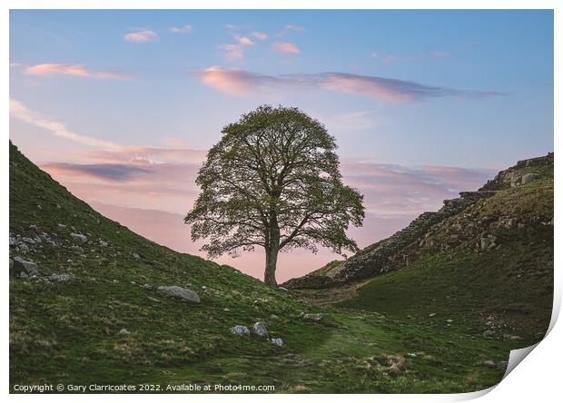 Sycamore Gap under Clouds Print by Gary Clarricoates