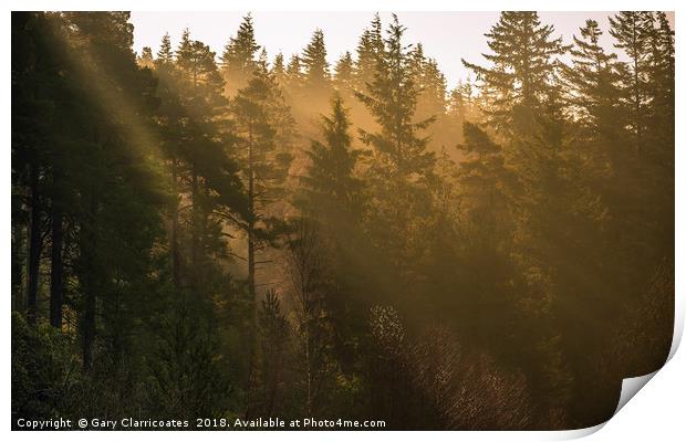 Sunbeams at Cragside Print by Gary Clarricoates