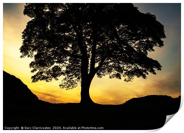 Sycamore Gap Silhouette Print by Gary Clarricoates