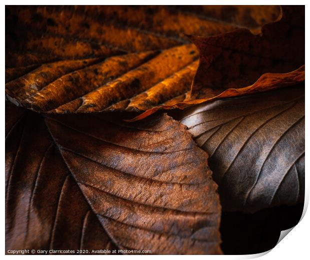 Fallen Leaves Print by Gary Clarricoates