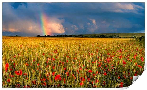 Rainbow over field of poppies at sunset Print by Alan Hill