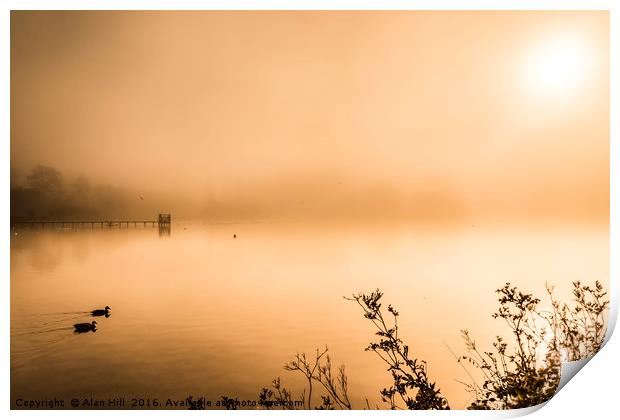 Misty early morning lake in autumn Print by Alan Hill