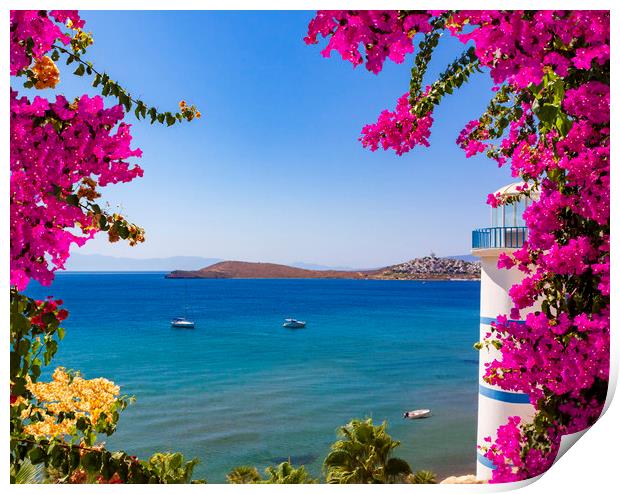 Beautiful pink and purple flowers frame a sea view in Ortakent,  Print by Alan Hill