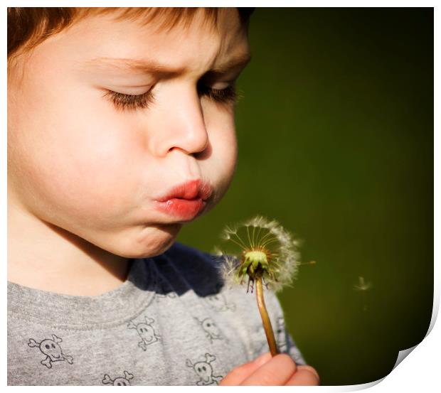  A boy blowing dandelion seeds Print by Alan Hill