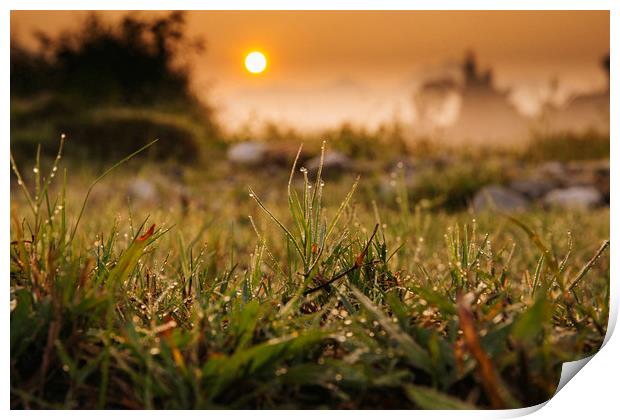Sunrise on the field Print by Pham Do Tuan Linh