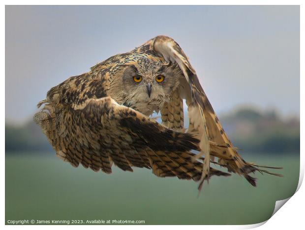 Eurasian Eagle Owl mid-flight Print by James Kenning