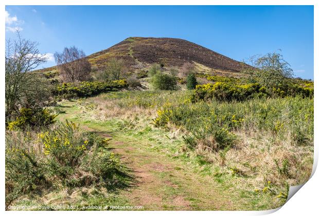 East Side footpath up Eildon Hill North, Scottish Borders, UK Print by Dave Collins