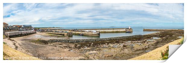 Seahouses Harbour at Low Tide, Northumberland, England  Print by Dave Collins