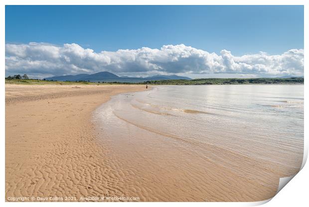 Looking east on Carradale Bay Beach in Argyll and Bute, Scotland Print by Dave Collins