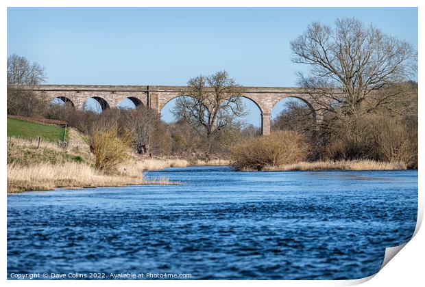 Outdoor Roxburgh Viaduct, Teviot River, Scotland Print by Dave Collins