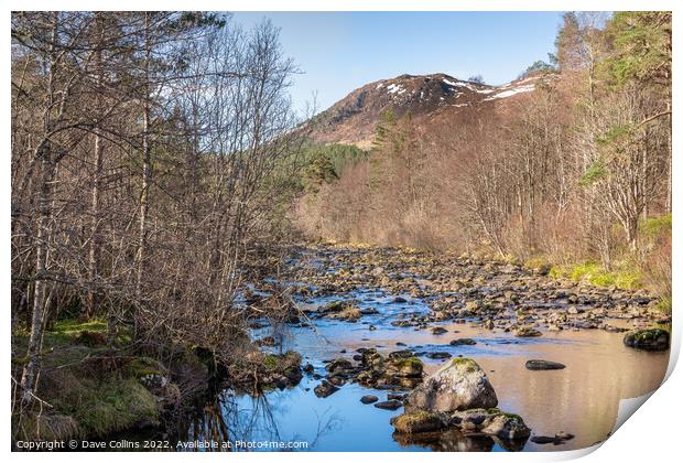 River Affric just below Dog Falls in Glen Affric, Highlands, Scotland Print by Dave Collins