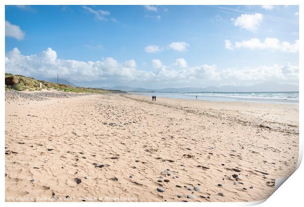 Banna Strand Beach in County Kerry, Ireland Print by Dave Collins
