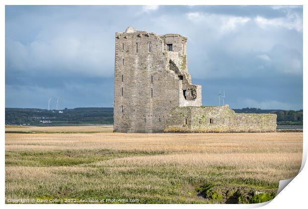 The remains of Carrigafoyle Castle,  Ballylongford, County Kerry Ireland Print by Dave Collins