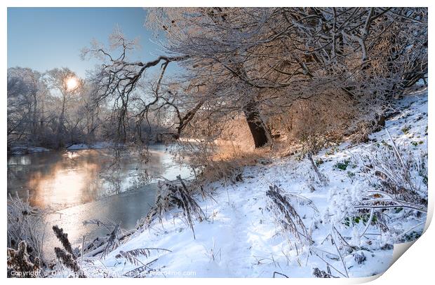 Sunrise over the River Teviot after snow in the Scottish Borders Print by Dave Collins