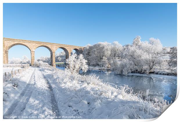 Roxburgh Viaduct over the river teviot in snow in the Scottsih Borders Print by Dave Collins