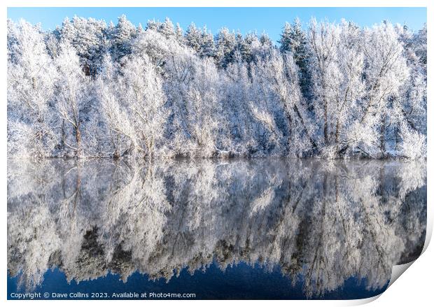 Reflections of snow covered trees in the River Teviot, Scottish Borders, United Kingdom Print by Dave Collins