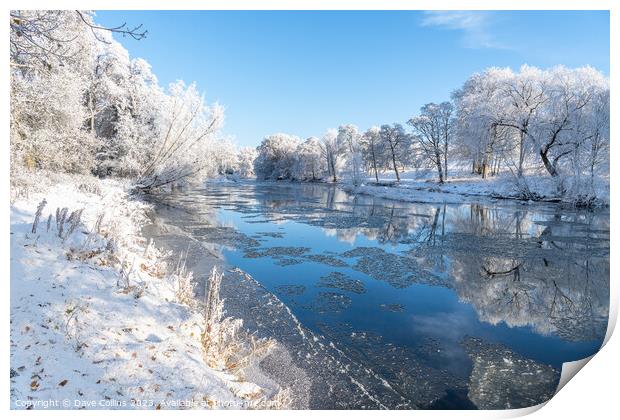 Outdoor Reflections of snow covered trees in the River Teviot, Scottish Borders, United Kingdom Print by Dave Collins