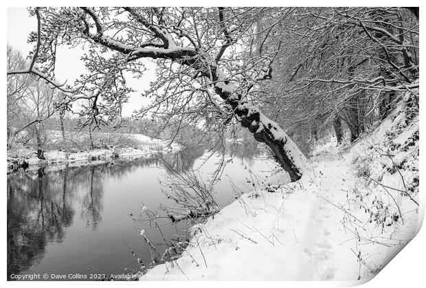 Monochrome Sun breaking through the mist over the Teviot River in winter snow in the Scottish Borders Print by Dave Collins