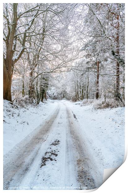 Snow covered lane in the Scottish Borders in the United Kingdom Print by Dave Collins