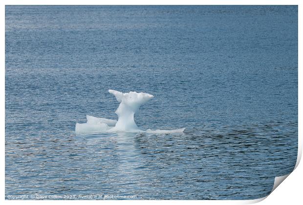 Strangley shaped growler (little iceberg) floating in College Fjord in Alaska, USA Print by Dave Collins