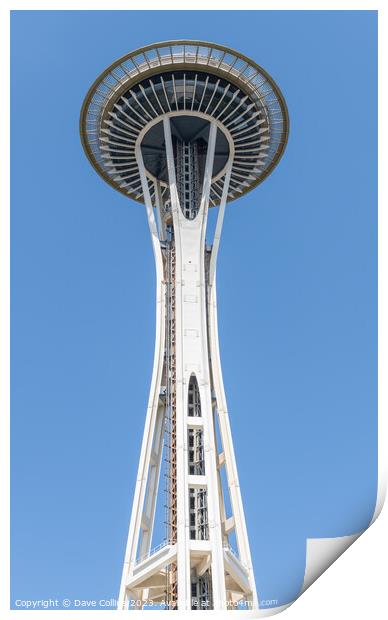 The Space Needle from Seattle Center. , Seattle, Washington, USA Print by Dave Collins