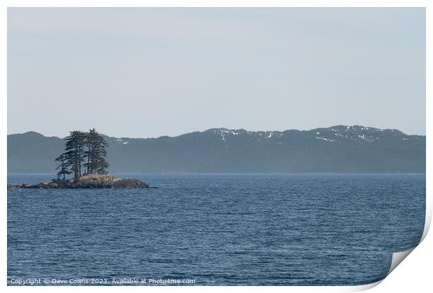 Two trees on a small island in Prince William Sound, Alaska, USA Print by Dave Collins