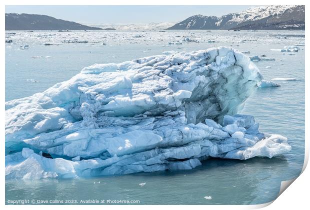 Strangley shaped growler (little iceberg) floating in College Fjord in Alaska, USA Print by Dave Collins