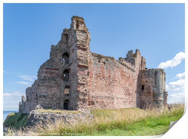 The remains of the north and west walls of Tantallon Castle, North Berwick, East Lothian, Scotland Print by Dave Collins