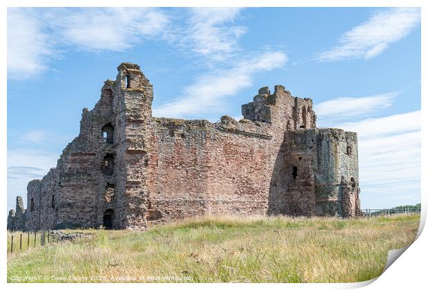 The remains of the north and west walls of Tantallon Castle, North Berwick, East Lothian, Scotland Print by Dave Collins