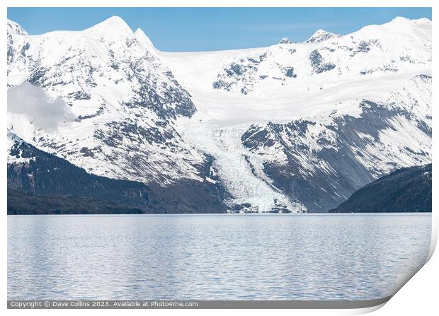 A small Tidal Glacier in College Fjord, Prince William Sound, Alaska, USA Print by Dave Collins